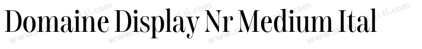 Domaine Display Nr Medium Italic字体转换